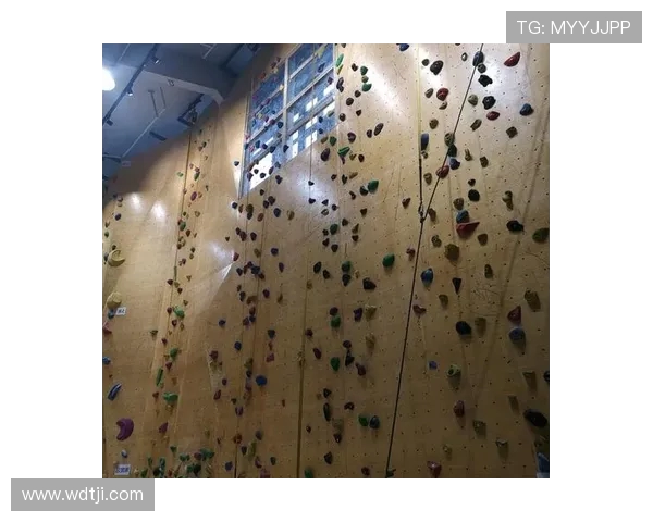 南京攀岩队的成长历程与极限运动联赛的辉煌征程